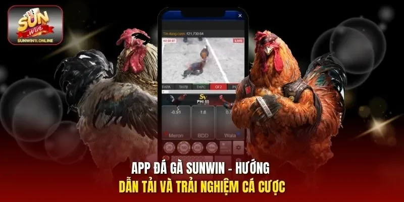 App đá gà