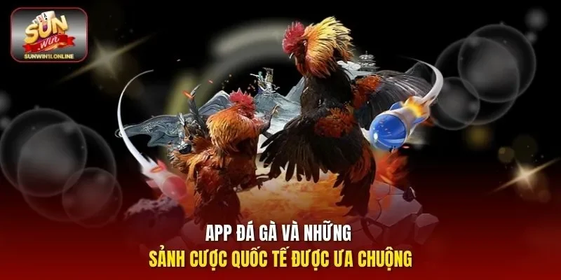 App đá gà và những sảnh cược quốc tế được ưa chuộng