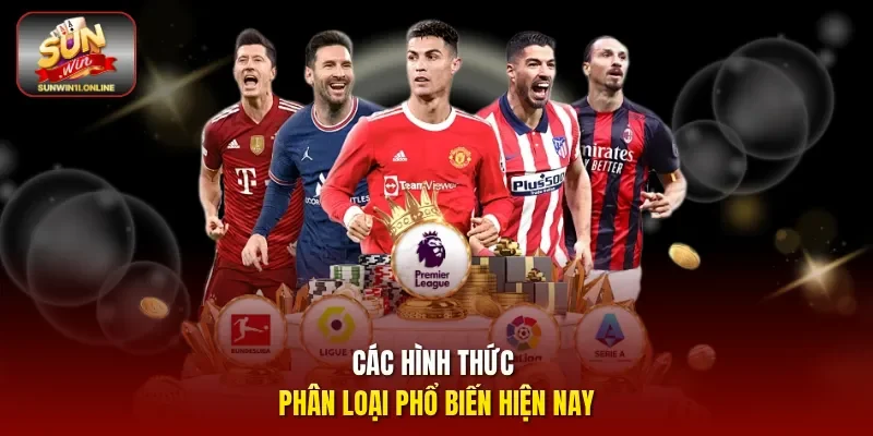 Các hình thức phân loại phổ biến hiện nay