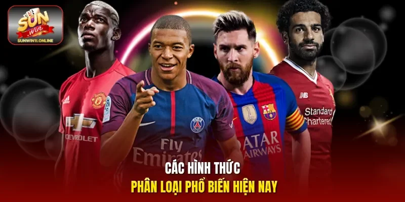 Các hình thức phân loại phổ biến hiện nay