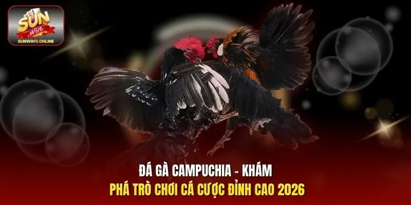 Đá gà Campuchia