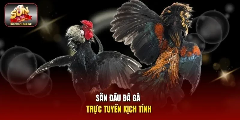 Sân đấu đá gà trực tuyến kịch tính