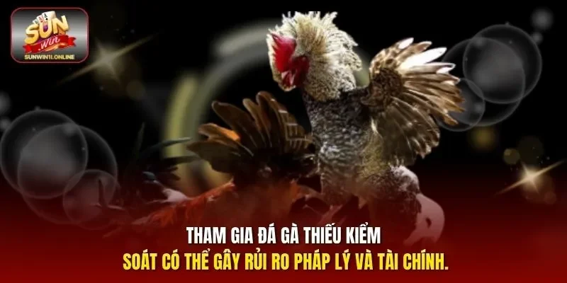 Tham gia đá gà thiếu kiểm soát có thể gây rủi ro pháp lý và tài chính.