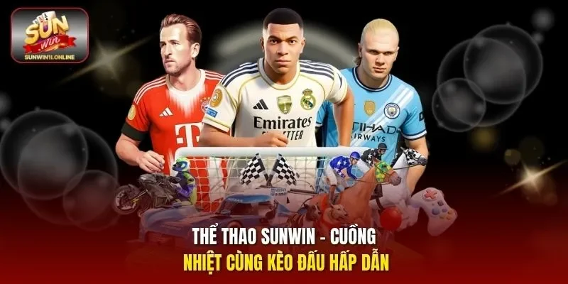 Thể Thao Sunwin là chuyên mục giải trí như thế nào?