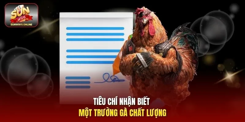 Tiêu chí nhận biết một trường gà chất lượng